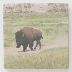 Porta-copo De Pedra Buffalo em movimento, fotografia