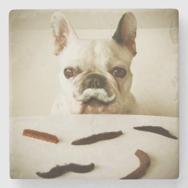 Porta-copo De Pedra Buldogue francês com um bigode (Frente)