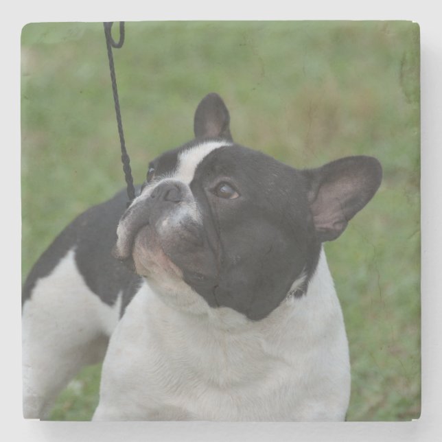 Porta-copo De Pedra Buldogue francês preto e branco (Frente)