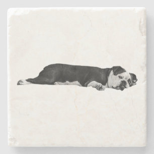 Porta-copo De Pedra Bulldog preguiçoso, Mesa Neat