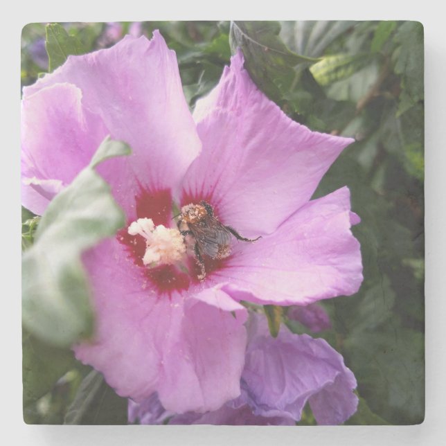 Porta-copo De Pedra Bumblebee na Flor de Hibiscus (Frente)