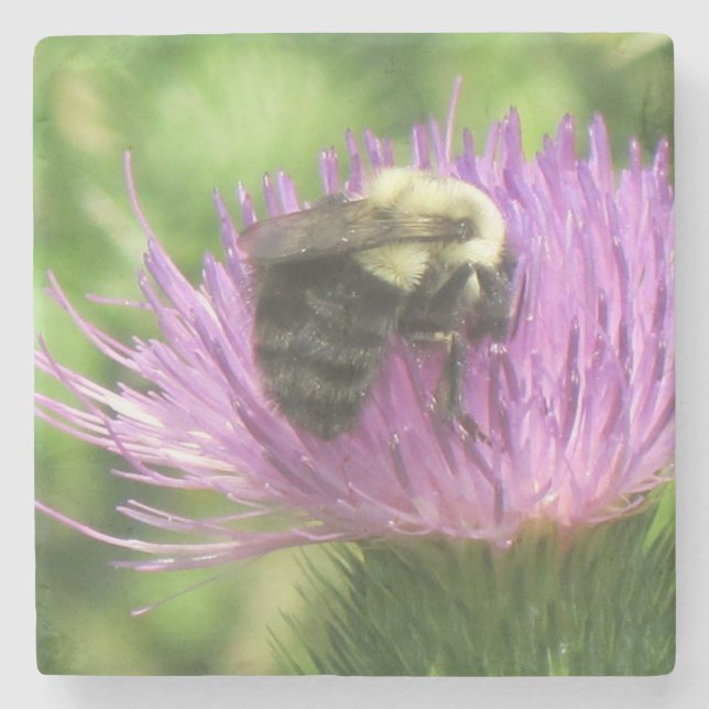 Porta-copo De Pedra Bumblebee Sobre O Astro (Frente)