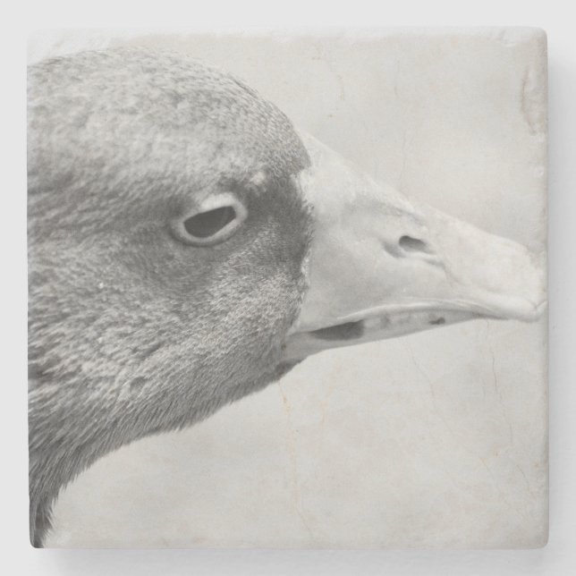 Porta-copo De Pedra BW Goose (Frente)