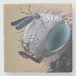 Porta-copo De Pedra Cabeça de Inseto de Insetos de Fechamento