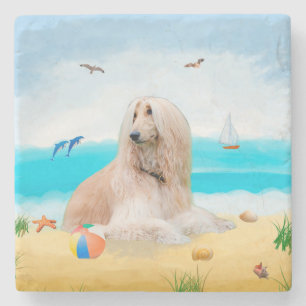 Porta-copo De Pedra Cachorro afegão na praia