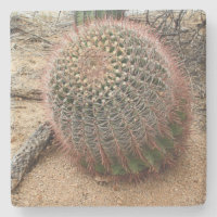Cacto de barril no deserto, Arizona, porta copos q