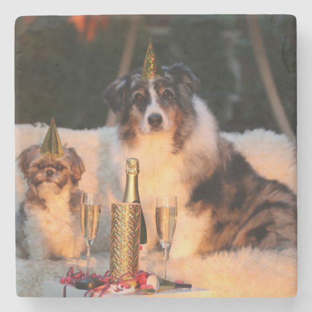 Porta-copo De Pedra Cães Celebrando Ano Novo (Frente)