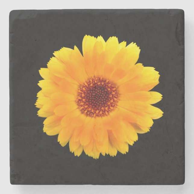 Porta-copo De Pedra Calendula Officinalis (Frente)