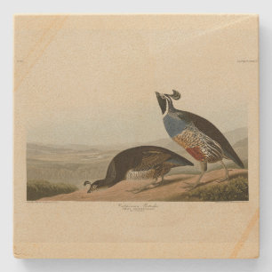 Porta-copo De Pedra California Partridge - Pássaros da América de Audu