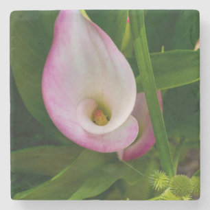 Porta-copo De Pedra Calla Roll