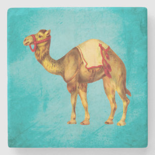 Porta-copo De Pedra Camelo do circo do vintage no Aqua