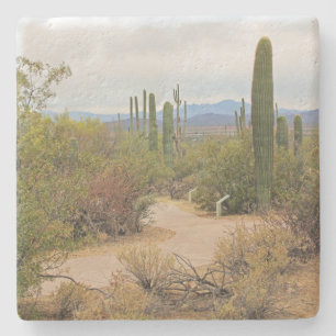 Porta-copo De Pedra Caminho caminhando no deserto na Arizona, porta co
