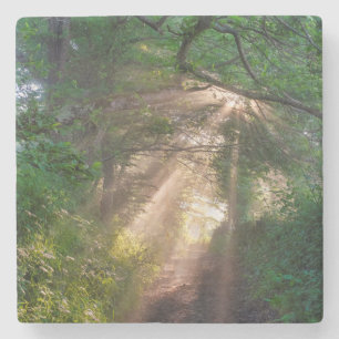 Porta-copo De Pedra Caminho da Floresta
