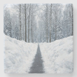 Porta-copo De Pedra Caminho de Floresta de Inverno Nebuloso Paisagem d