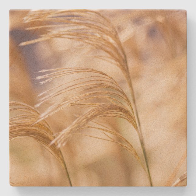 Porta-copo De Pedra Campo da porta copos do arenito do trigo (Frente)