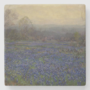 Porta-copo De Pedra Campo de Flores de Bluebonnet (Paisagem Rural)