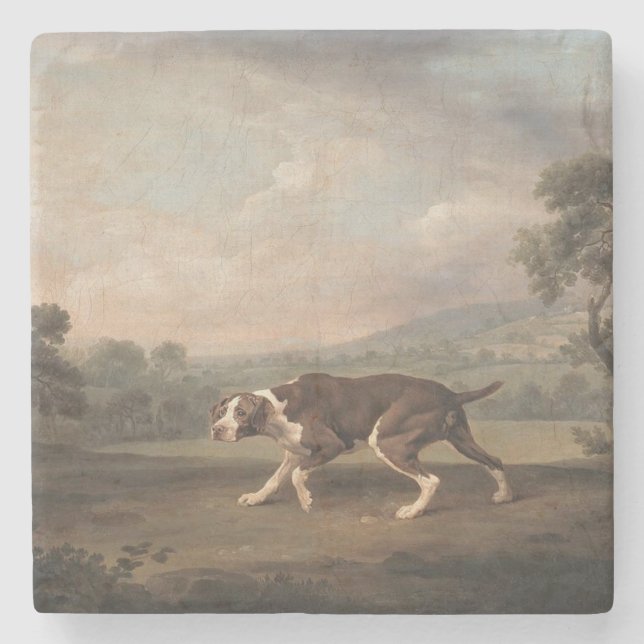 Porta-copo De Pedra Canino Espanhol (por George Stubbs) (Frente)
