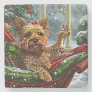 Porta-copo De Pedra Cão Yorkshire Terrier Natal Festivo