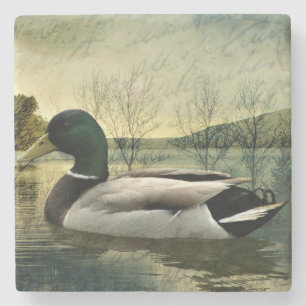 Porta-copo De Pedra Cartão-postal de Vintage Mallard Duck Weathered