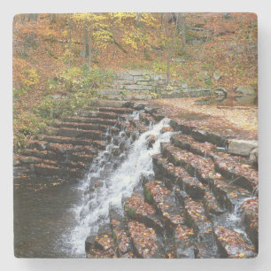 Porta-copo De Pedra Cascata em Laurel Hill State Park II