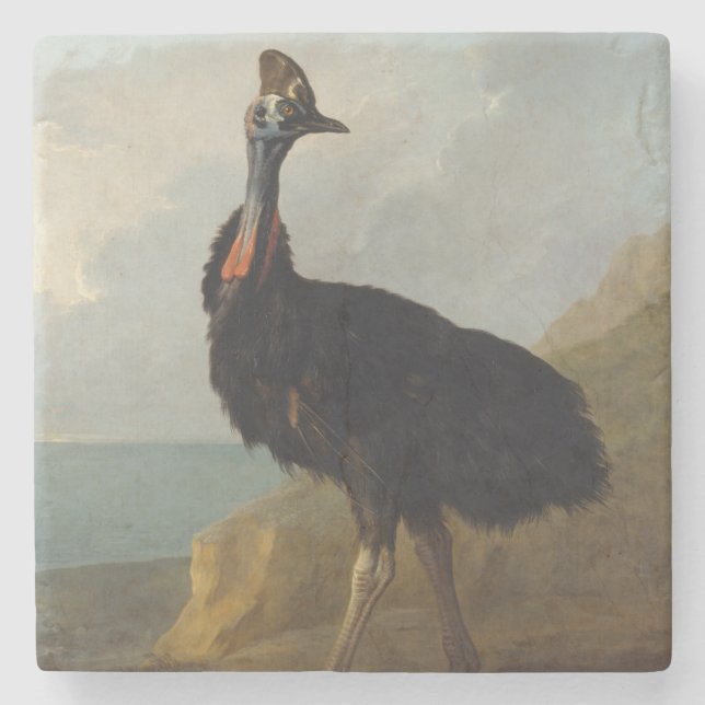 Porta-copo De Pedra Cassowary (Australian Bird) (Wild Animal Art) (Frente)