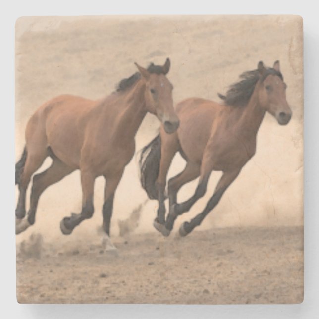 Porta-copo De Pedra Cavalo na queda II (Frente)