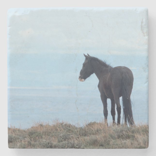 Porta-copo De Pedra Cavalo Selvagem (Frente)