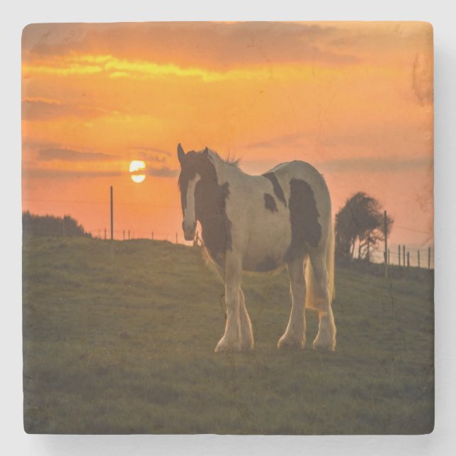 Porta-copo De Pedra Cavalo Sol (Frente)