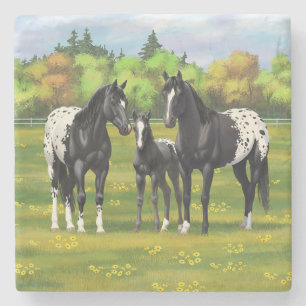 Porta-copo De Pedra Cavalos Pretos De Appaloosa Em Pasto De Verão