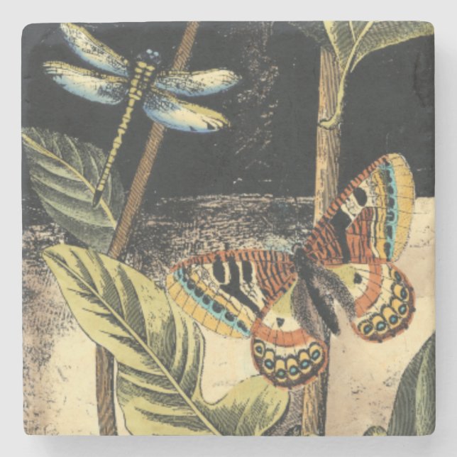 Porta-copo De Pedra Cena da Natureza Escura pelo Vision Studio (Frente)