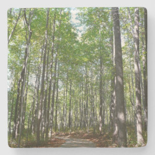 Porta-copo De Pedra Centennial Wooded Path II Ellicott City Maryland