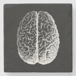 Porta-copo De Pedra Cérebros!