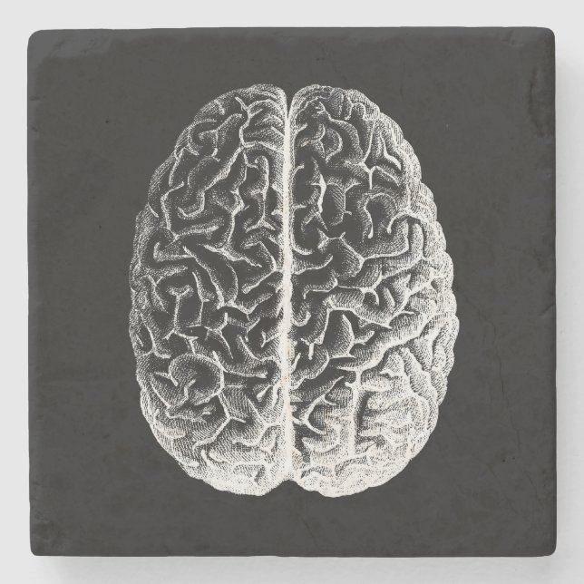 Porta-copo De Pedra Cérebros! (Frente)