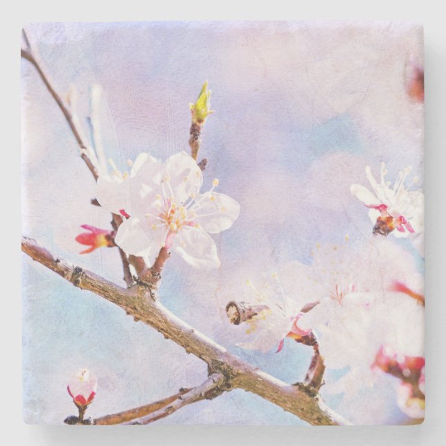 Porta-copo De Pedra Cereja Japonesa - Sakura em Bloom (Frente)