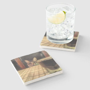 Porta-copo De Pedra Cerveja do Sup? Fotografia engraçada da foto do