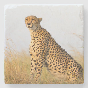 Porta-copo De Pedra Cheetah