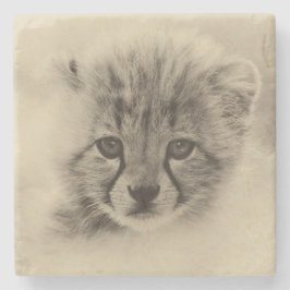 Porta-copo De Pedra Cheetah Cub