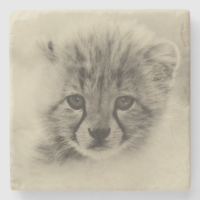 Porta-copo De Pedra Cheetah Cub (Frente)