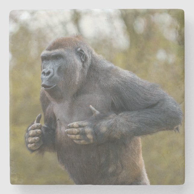 Porta-copo De Pedra Chest Beating Gorilla (Frente)