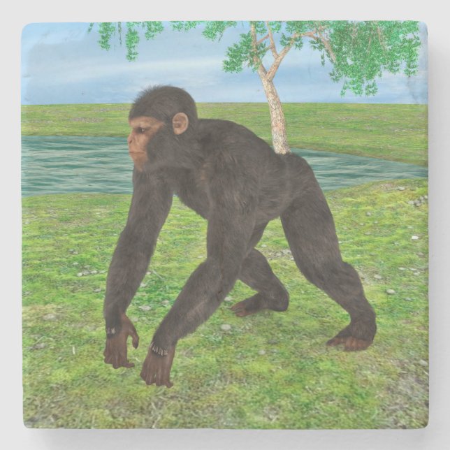 Porta-copo De Pedra Chimpanzé (Frente)