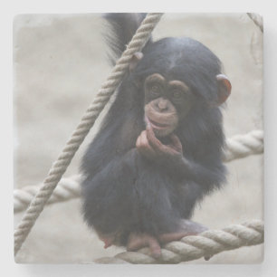 Porta-copo De Pedra Chimpanzé 030