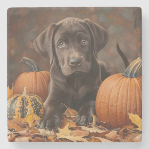 Porta-copo De Pedra Chocolate Labrador Retriever Autumn