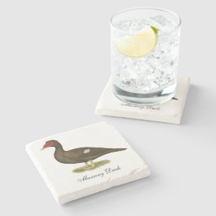 Porta-copo De Pedra Chocolate Muscovy Duck