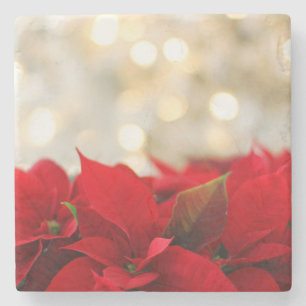 Porta-copo De Pedra Christmas Poinsettia