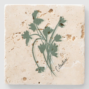 Porta-copo De Pedra Cilantro Herb Garden Coriander Mão Desenhada