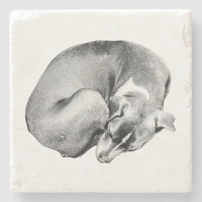 Porta-copo De Pedra Círculo de Facilidade (Frente)