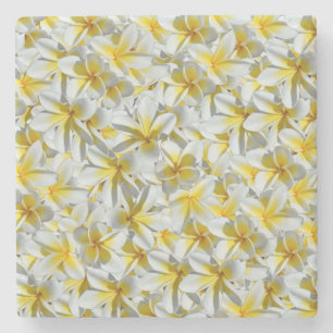 Porta-copo De Pedra Cluster De Frangipani Amarelo E Branco,