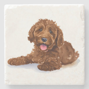 Porta-copo De Pedra Coaster de bebidas com chocolate Labradoodle