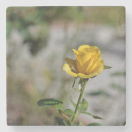 Porta-copo De Pedra Coleção 2 da porta copos do jardim de rosas de 4