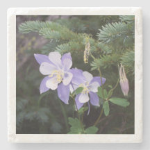 Columbine Colorado 4"x4" Porta copos mármore
